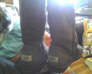 gently used uggs for sale