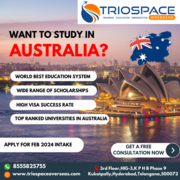 Study in Australia: Leading Universities,  Courses,  and Educational Cos