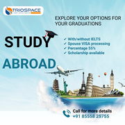 Best Study Abroad Consultants in Hyderabad - TrioSpace Overseas