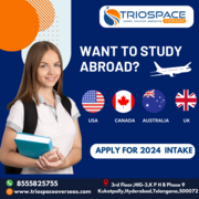 Best Study Abroad Consultants in Hyderabad , TrioSpace Overseas.