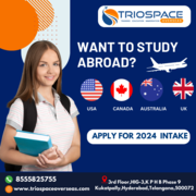 Best Overseas Education Consultants in Hyderabad ! (TrioSpace Overseas